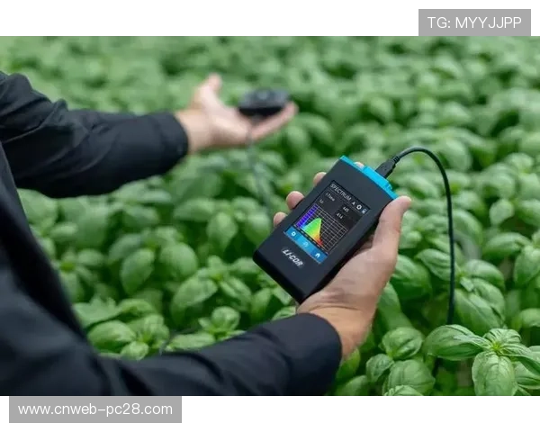 纳米传感器嵌入运动场地 实时监测地面状况